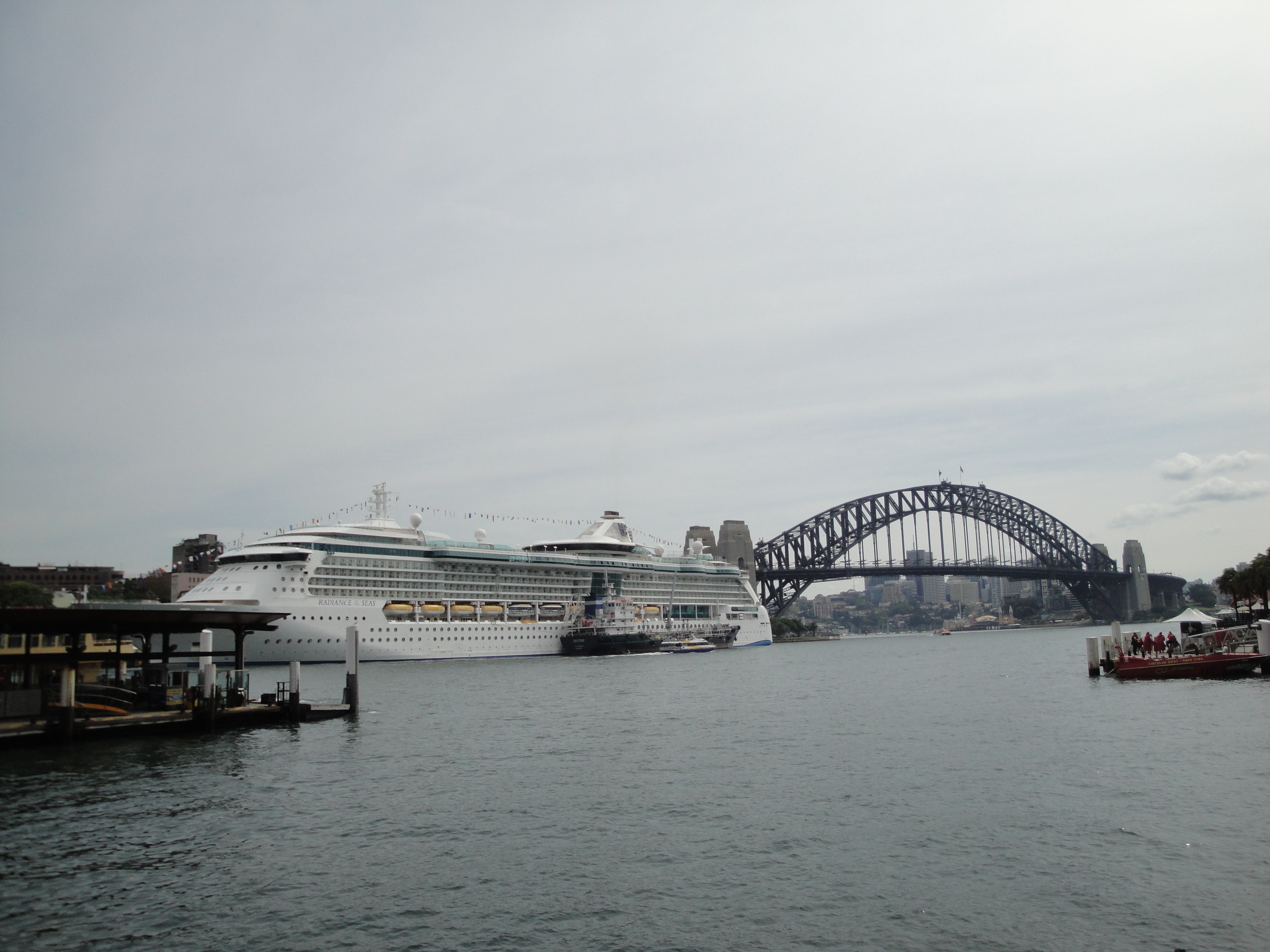 Radiance of the Seas in front of the Sydney Harbour Bridge