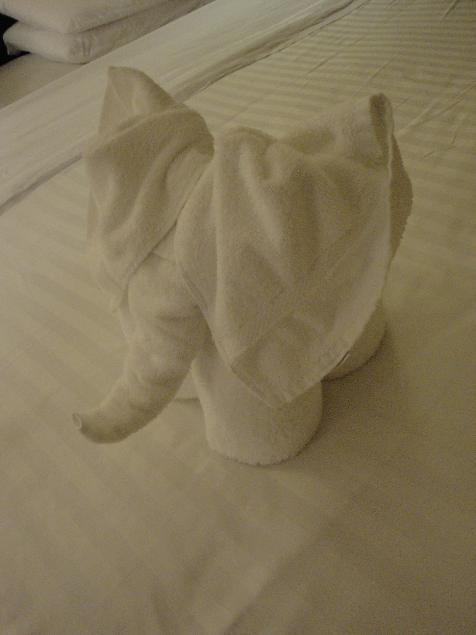 Towel Animals on Royal Caribbean Ships - Elephant